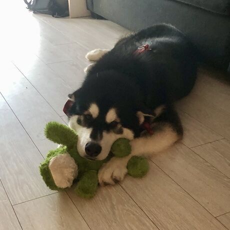 90eaef10 0de2 4ca6 8864 64991e58d017