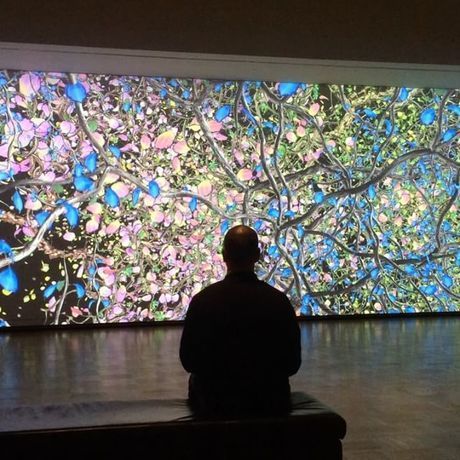 20181379 460680754309105 1421552308604370944 n