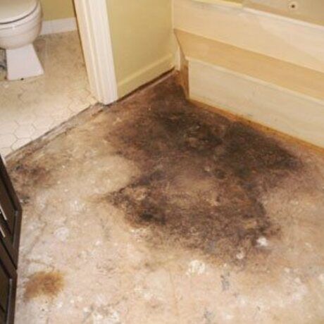 Carpet mould removal brisbane 3