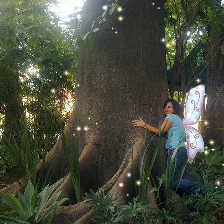 Arbol y yo