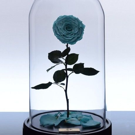 %da%af%d9%84 %d8%b1%d8%b2 %d8%ac%d8%a7%d9%88%d8%af%d8%a7%d9%86 %da%a9%d9%84%d8%a7%d8%b3%db%8c%da%a9 %d8%a2%d8%a8%db%8c %d9%81%db%8c%d8%b1%d9%88%d8%b2%d9%87 %d8%a7%db%8c1 600x630