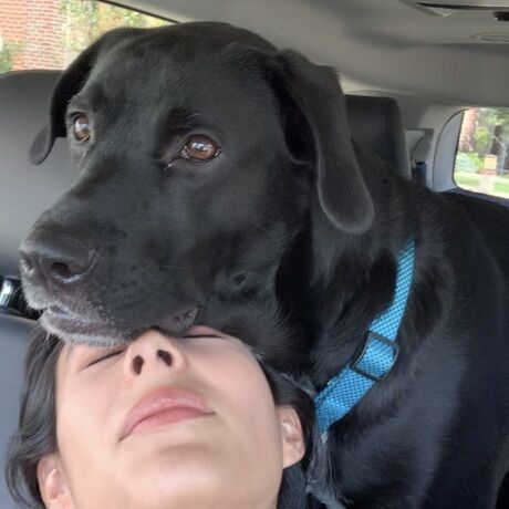 A18732f9 5c37 471f 8112 3d3adbcf2663