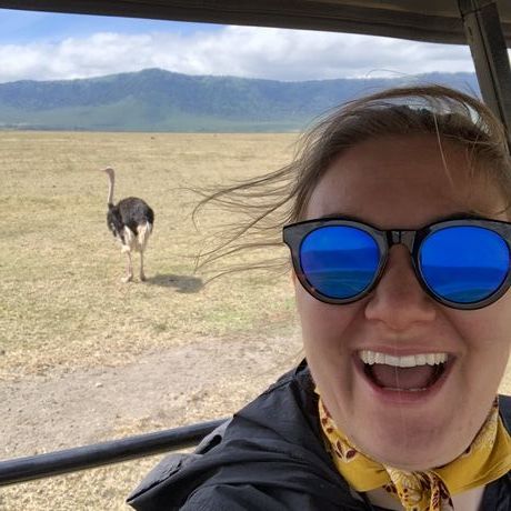 40c13593 b3dd 4e0e aa3b 7d3a7f8579fd