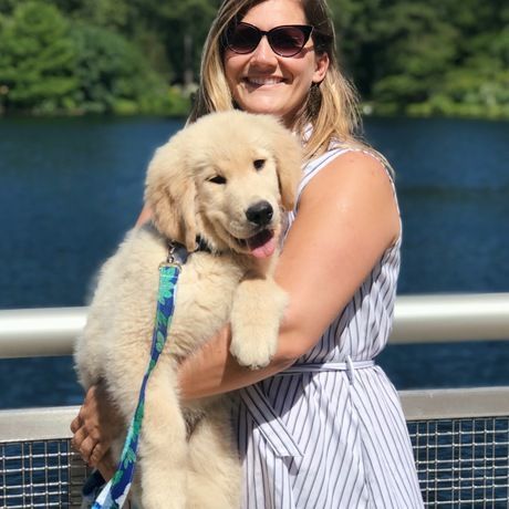 145a5838 faf6 48ea 85c1 dd28a9532aaa