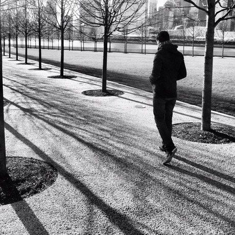 19b880d88c7b2ebe4566b3eadf48ddaf