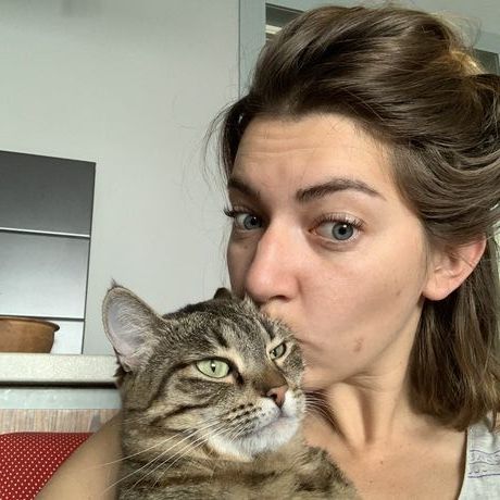 A202272b b551 48e0 800e fd8fbefed9c8