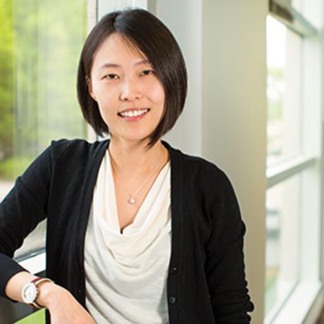 Kat park color 400px