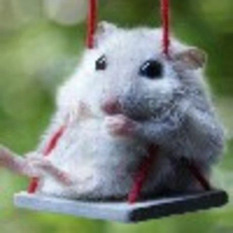 2141d3d8794d profile image 1455380846