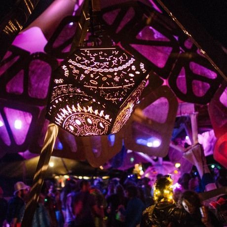 13559098 2050141711878679 1549014477531993004 o