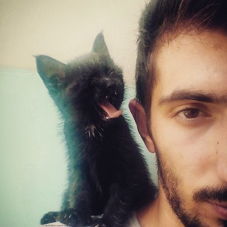 Img 20170623 175555 208