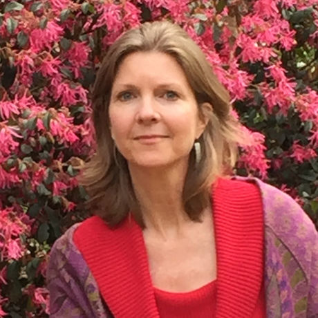 Laura elliott photo