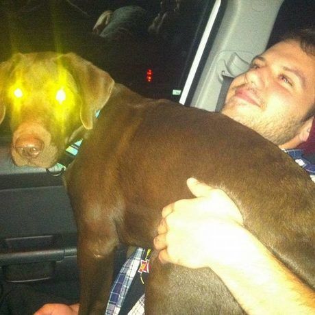 12141498 10205623541682958 5974606446969757252 n