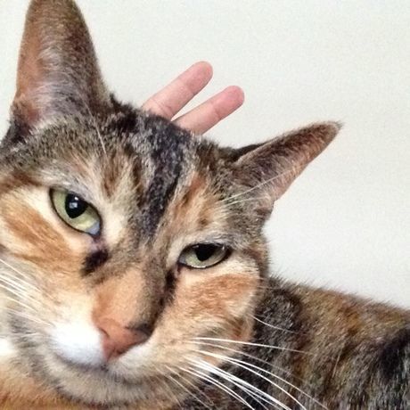 2013 11 09 14.44.14 1