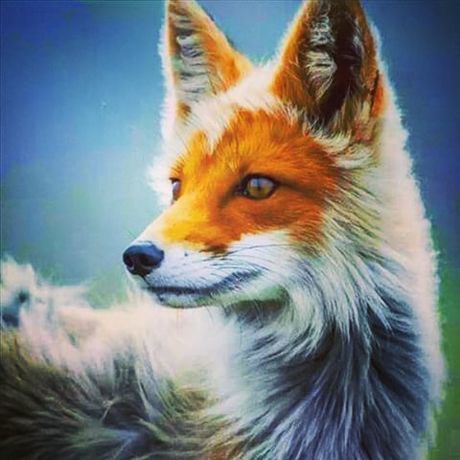 10817784 308949289301189 949895353 n