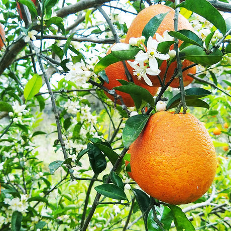 Img 20190302 132022602