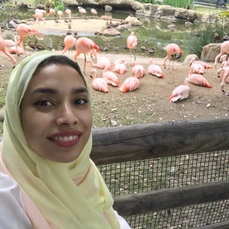 01b8ea0a 5f49 4ca4 a65d 441d9d8b53ee