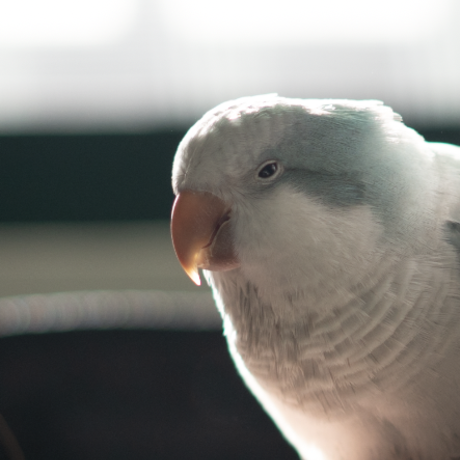 %e8%9e%a2%e5%b9%95%e5%bf%ab%e7%85%a7 2021 01 23 %e4%b8%8b%e5%8d%8810.25.43