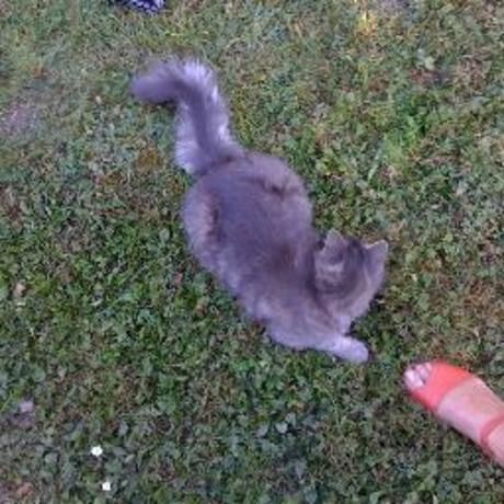 A101e8fb2e2533acc7b487d4e7add858