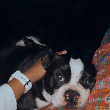 5579003e bee7 4a0e 9614 6f092fc53e43