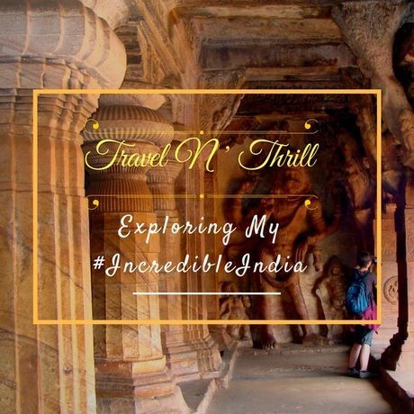 Travel n  thrill logo