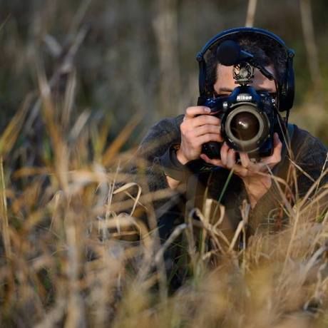 1901831 10151923894572218 1616361728 n