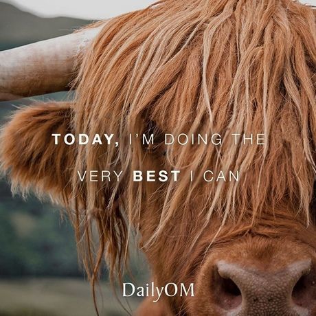 8157dbaf ddff 49ca b1af 354d83a57d85