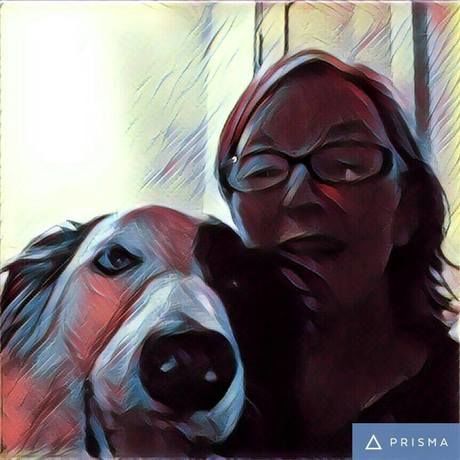 14604830 10211771159773977 6344160027627400982 n