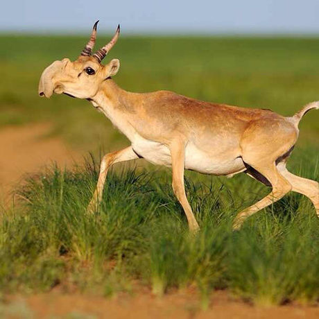 10303943 865d961067dcfd21aaed7dcc2339bfb9 wm