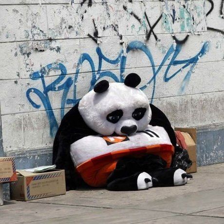 Panda