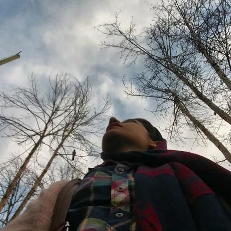 Photo 2018 01 13 12 40 38