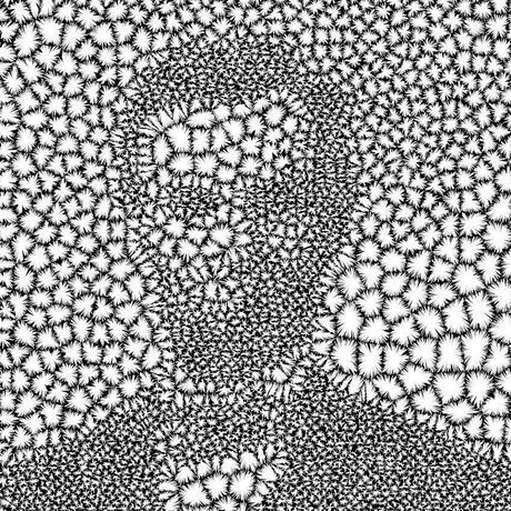 Photo 2018 01 25 15 15 08