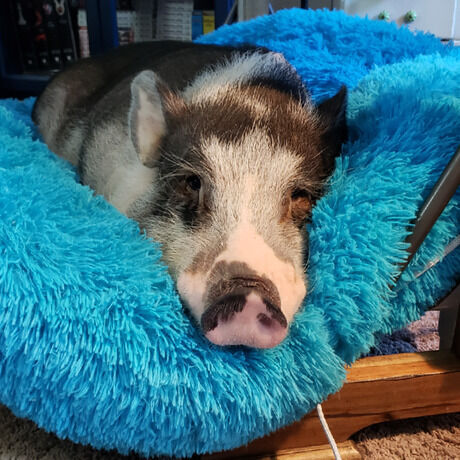 Jpeg 20200618 202942