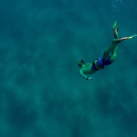 28f4e6c8 5bc5 467e bd0e 9082257571b5