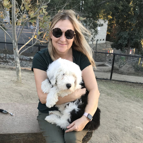 With englishsheepdog