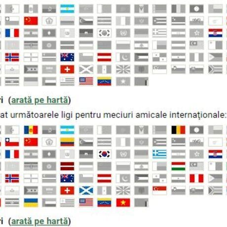 Colectia de steaguri