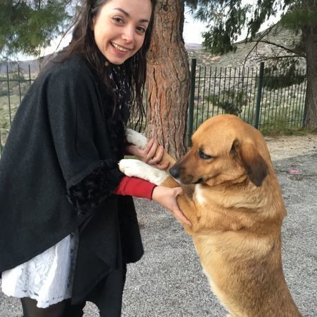 8e935ad6 6fb3 4eee 9571 21284e24b1d7