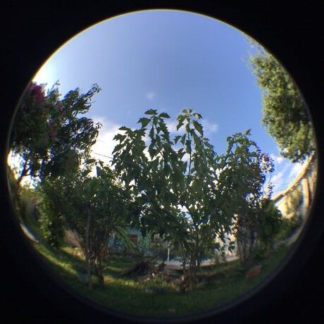 08dda30f 2fbe 4e37 b9fc 37c69384f744