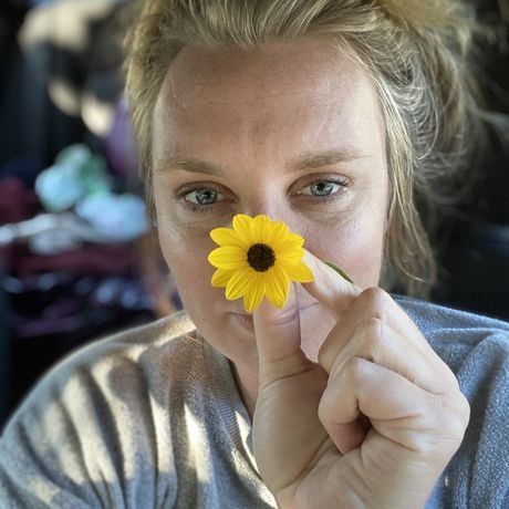 4a5a2215 cb00 47ed a264 b818191fb57b