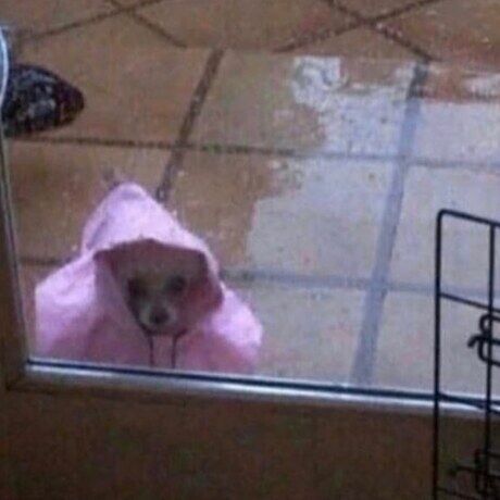 Img 20200629 200324 585