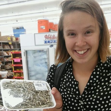 Groupme 2017102 102535