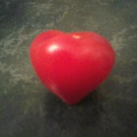 57a34762fc2155fac0345e18b22837ac