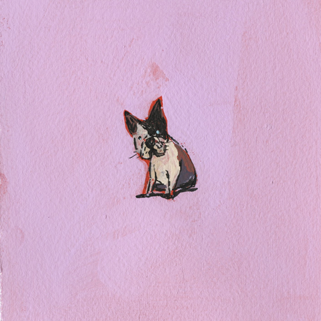 Dog04