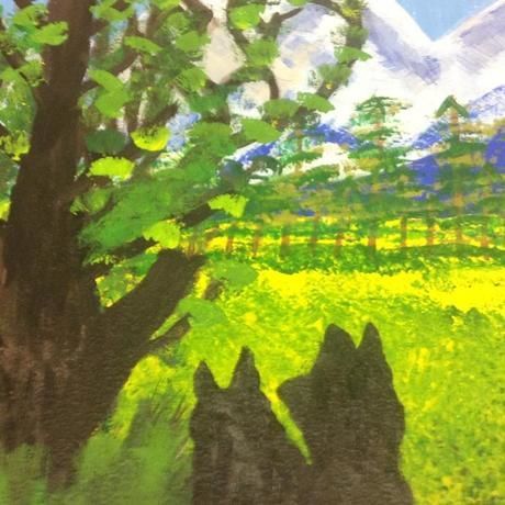 Tim s updated landscape picture