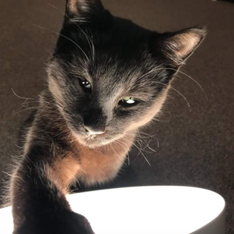 Screen shot 2018 04 23 at 15.18.16