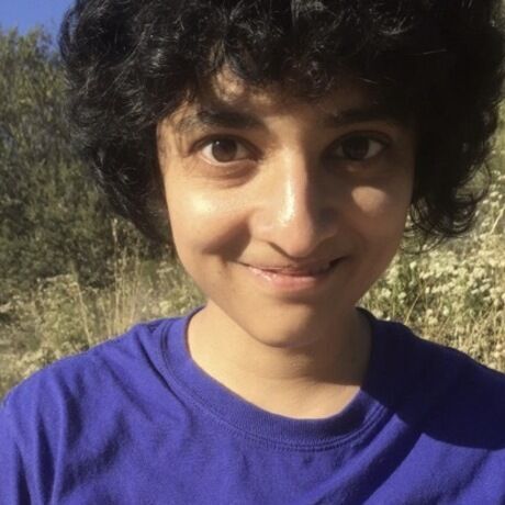 E2e0da1d e529 482e 96b6 ed5a8be48208