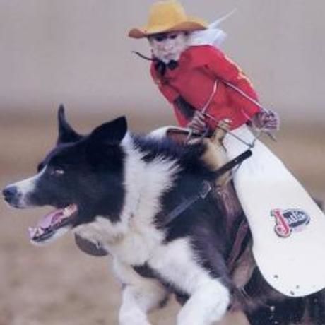 A28f6948bd5327ce659bdb74b2d59c57