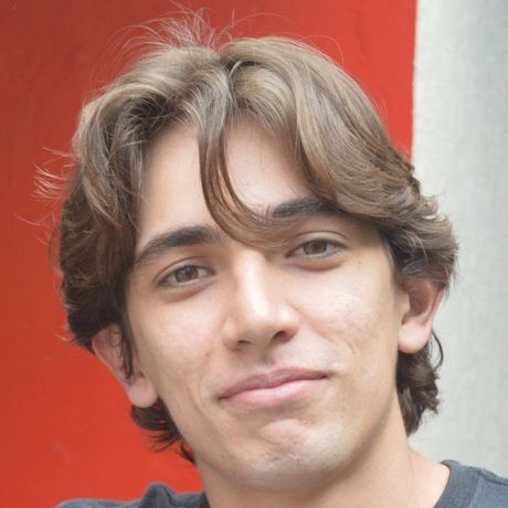 Perfil