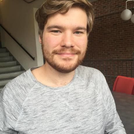 Henrik bilde