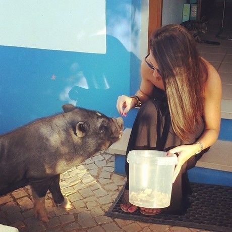 10354813 10152385574681359 3116846013424169979 n