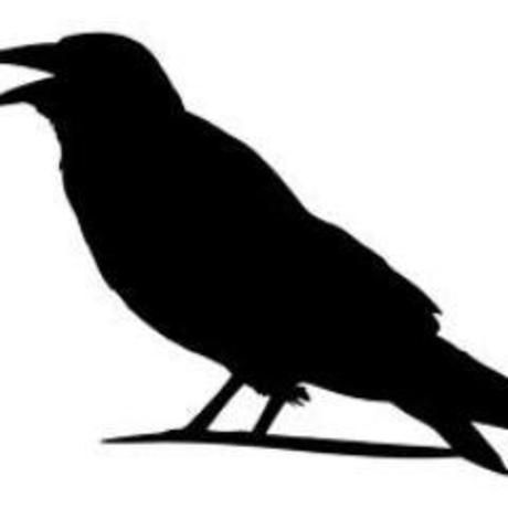 D5d9e3d249a2fb5c061cd46d952f0bda